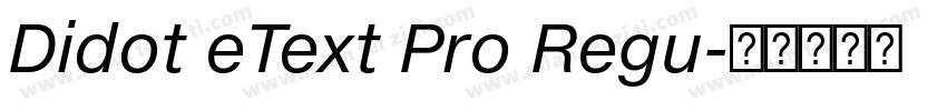 Didot eText Pro Regu字体转换